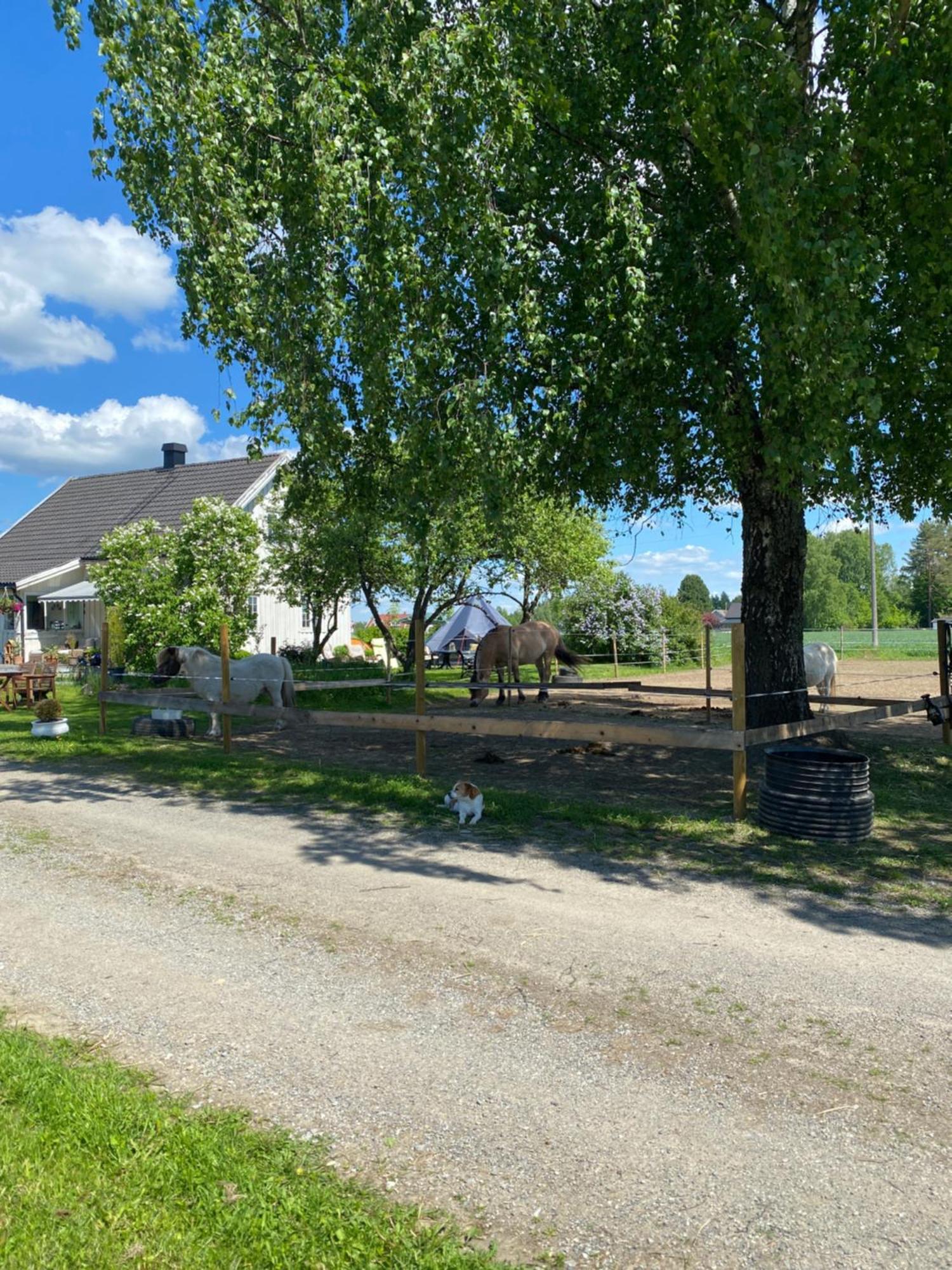 Sundby Fjordhestgard Villa Garder Dış mekan fotoğraf