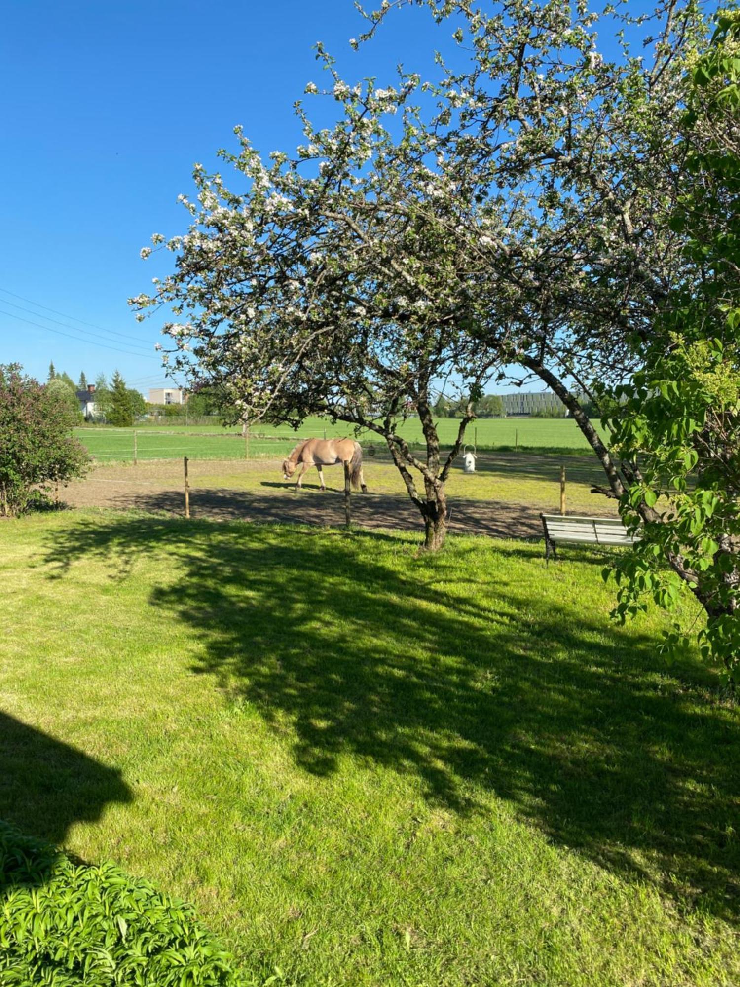 Sundby Fjordhestgard Villa Garder Dış mekan fotoğraf